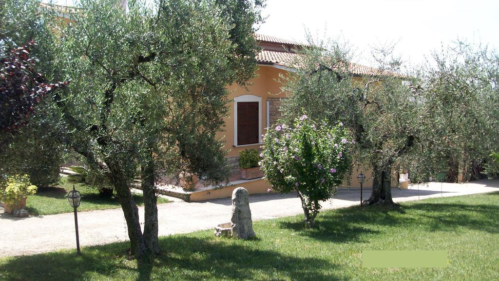 Il Giardino Degli Ulivi Bed and Breakfast Canneto  Εξωτερικό φωτογραφία