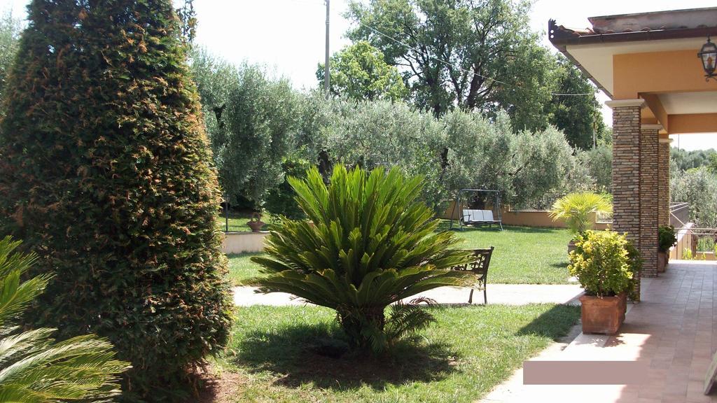 Il Giardino Degli Ulivi Bed and Breakfast Canneto  Εξωτερικό φωτογραφία